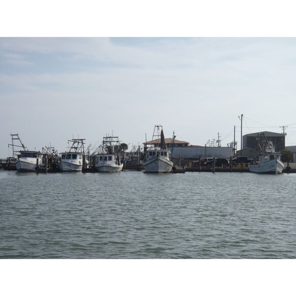 Olympus Stylus Tough 3000 Digital Camera 12.0MP 3.6x Opt Zoom HD Video 32GB SD - Picture 7 of 16